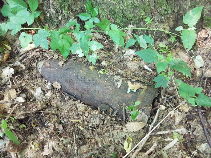 Unexploded shell Bernafay woods.jpg